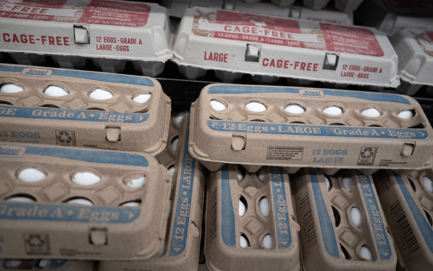 К счастью, в российских магазинах искусственные яйца еще не обнаруживались. Источник фотографии: msn.com. Фото.