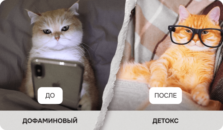 Почему мозг выбирает телефон вместо работы. Дофаминовый детокс — самый простой способ перезагрузить мозг, о котором никто не говорит. Источник изображения: artforintrovert.ru. Почему мозг выбирает телефон вместо работы. Дофаминовый детокс — самый простой способ перезагрузить мозг, о котором никто не говорит. Источник изображения: artforintrovert.ru. Фото.