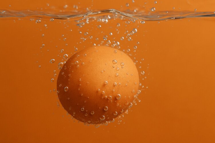 Проверить яйцо в стакане с водой. Свежее яйцо всегда тонет в воде. Фото.