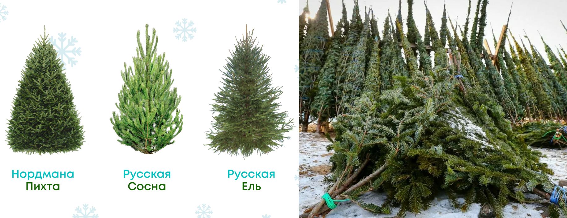 Кстати, хороший вариант — заменить живую ель на веточки, если вы практичный человек с искусственной ёлкой, но уж очень хочется настоящего запаха праздника. Источник изображения: megamarket.ru, youla.ru. Фото.