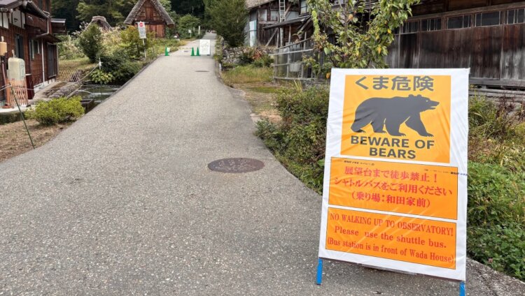 Что делают медведи перед спячкой. Предупреждающий знак об опасных медведях. Источник фотографии: popsci.com. Что делают медведи перед спячкой. Предупреждающий знак об опасных медведях. Источник фотографии: popsci.com. Фото.