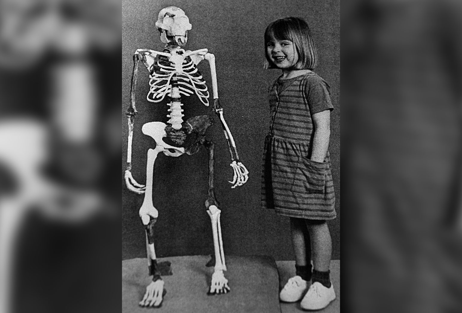 Люси была ростом с ребенка. Источник изображения: theconversation.com. Фото.