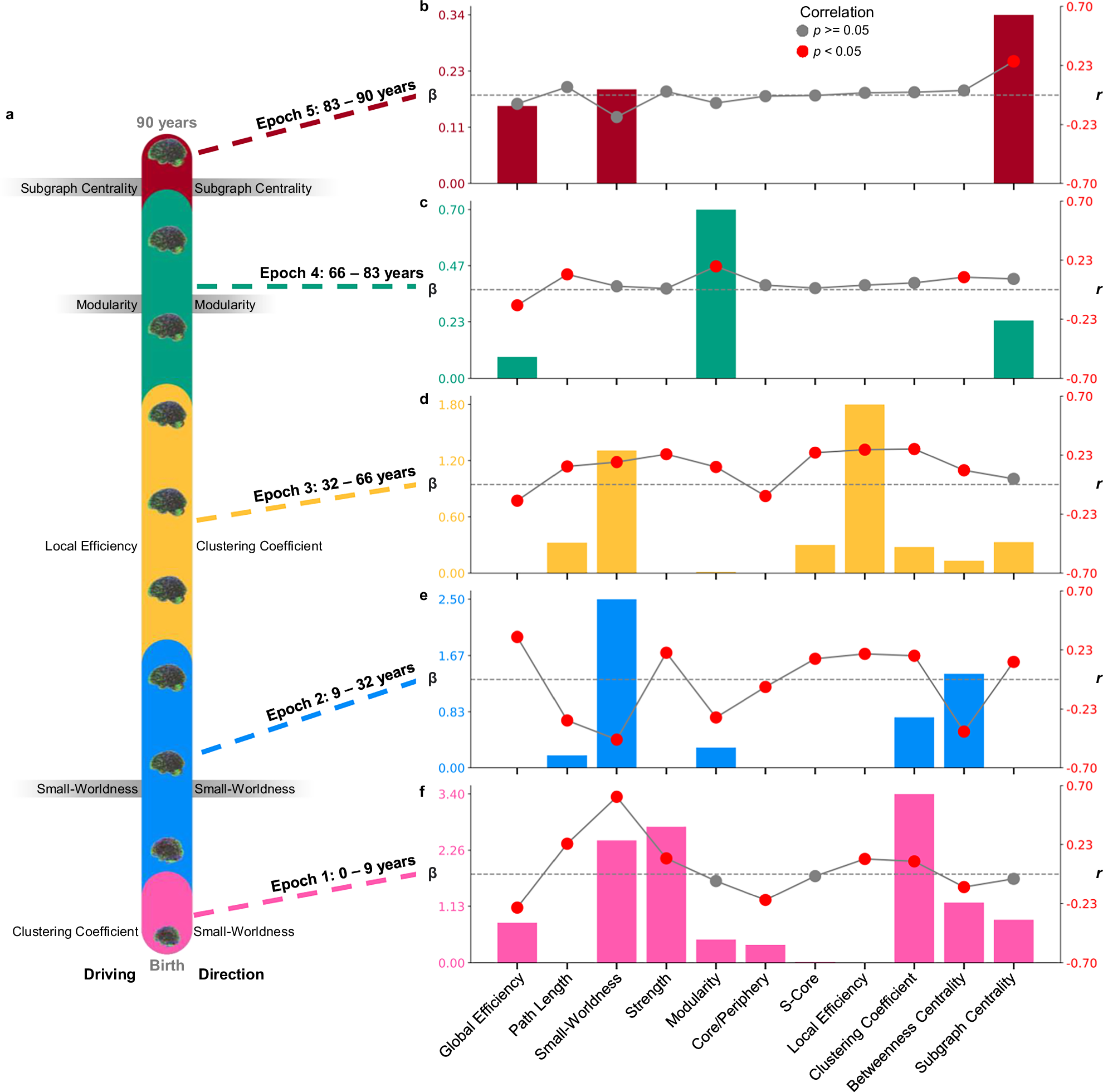 Топологические изменения в рамках пяти эпох жизни. Слева схема диапазонов каждой эпохи в течение всей жизни. Справа рядом с каждой эпохой показана метрика с наибольшей корреляцией (r), указывающая на наиболее сильные изменения в зависимости от возраста. Для эпох, в которых движущий фактор и наиболее сильное изменение совпадают, метрики выделены серым цветом. Красные точки указывают на корреляции Пирсона с p меньше 0,05. β — коэффициент LASSO, указывающий на наиболее сильный предиктор возраста. Источник изображения: nature.com. Фото.