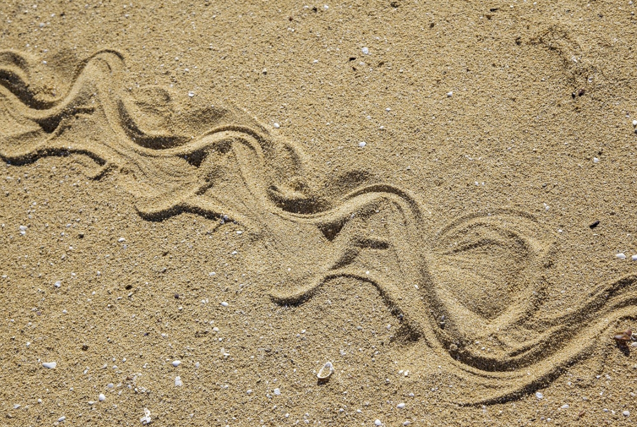 Волнообразные следы змеи на песке. Источник изображения: nadom-info.ru. Фото.