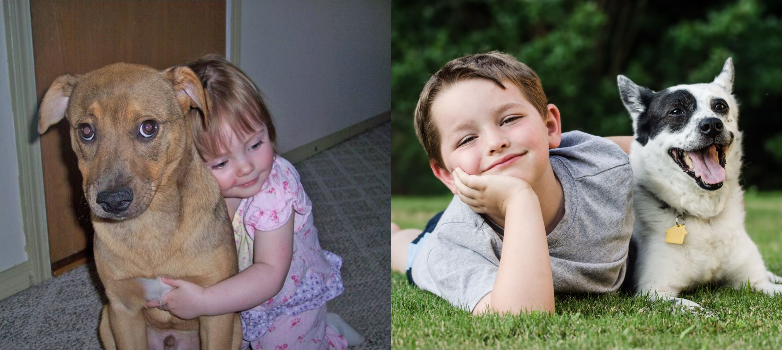 Ранние сигналы, что собака нервничает рядом с детьми. Важно научиться замечать тонкие изменения в поведении питомца. Источники изображений: ru.pinterest.com, petguide.com. Ранние сигналы, что собака нервничает рядом с детьми. Важно научиться замечать тонкие изменения в поведении питомца. Источники изображений: ru.pinterest.com, petguide.com. Фото.