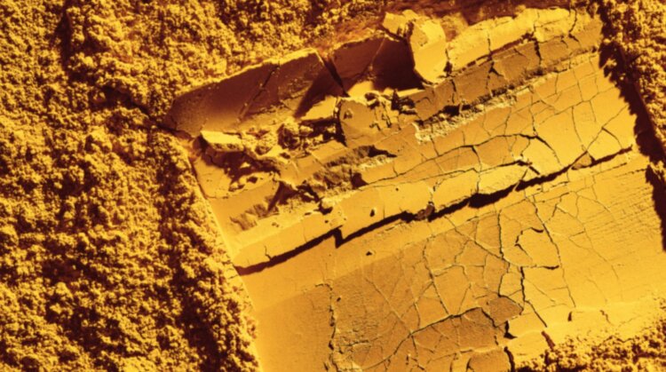 Производство еды из мочи и воздуха. Из мочи хотят сделать протеиновый порошок. Источник фотографии: aerospaceglobalnews.com. Производство еды из мочи и воздуха. Из мочи хотят сделать протеиновый порошок. Источник фотографии: aerospaceglobalnews.com. Фото.