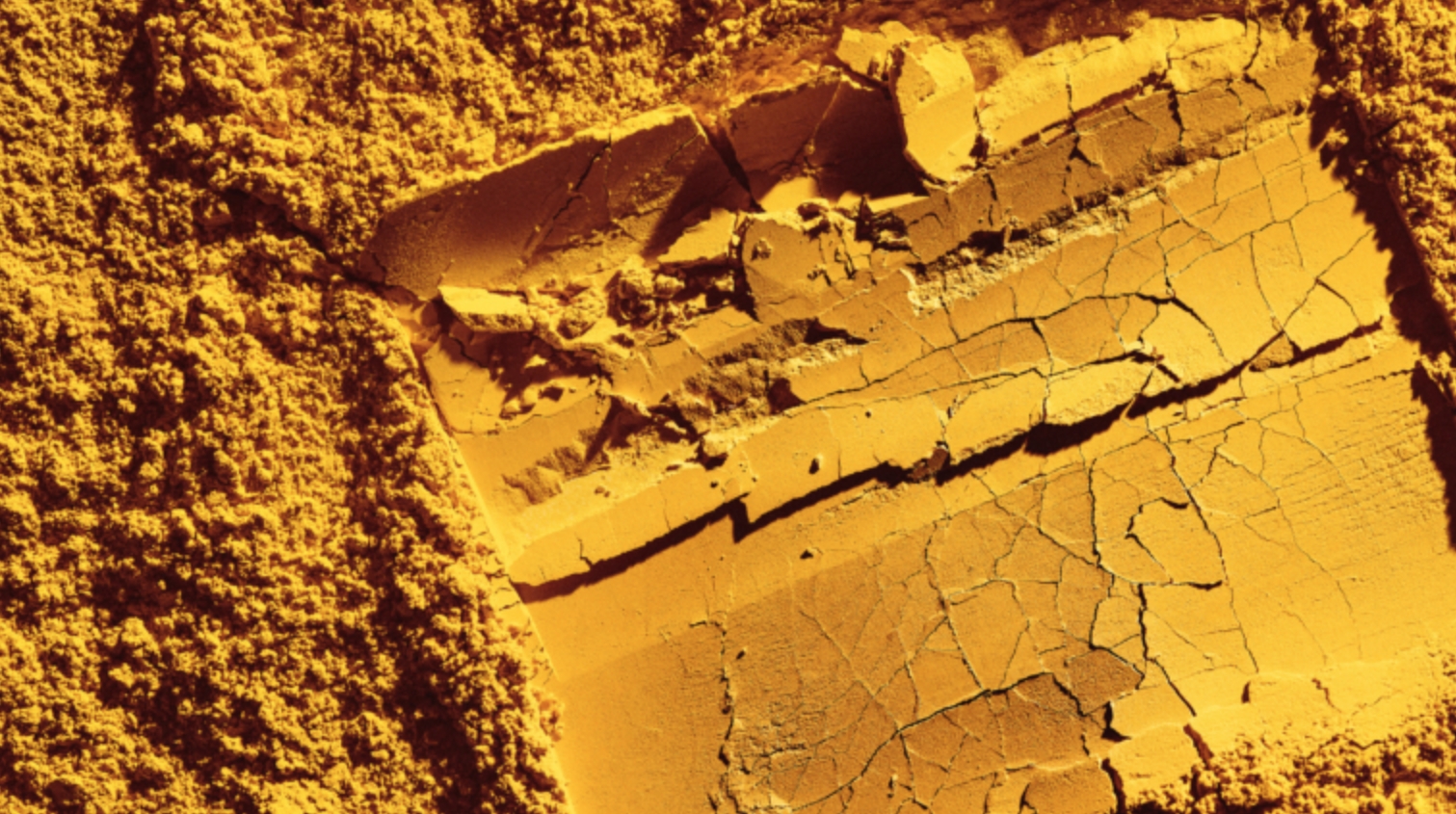 Из мочи хотят сделать протеиновый порошок. Источник фотографии: aerospaceglobalnews.com. Фото.