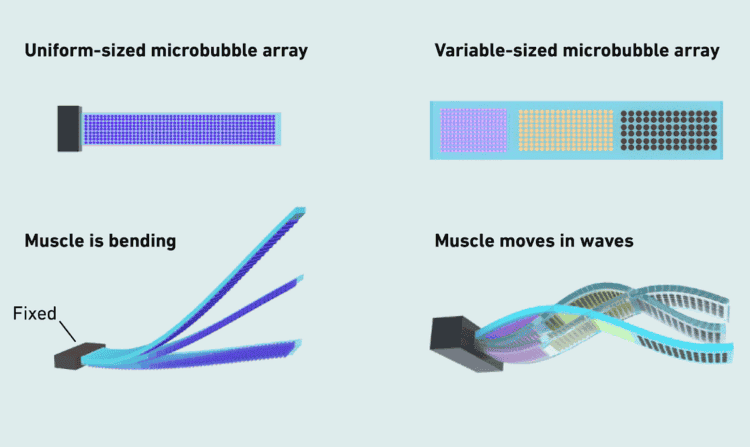 Применение микророботов в хирургии и медицине. Раньше такой тип привода был невозможен. Изображение: ethz.ch. Фото.