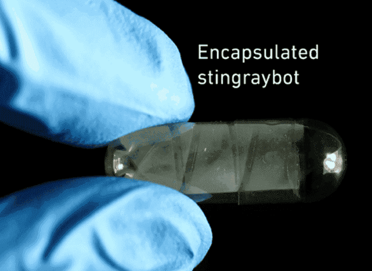 Доставка лекарств роботами. В растворимой капсуле робота легко поместить внутрь человека через желудок. Изображение: ethz.ch. Фото.