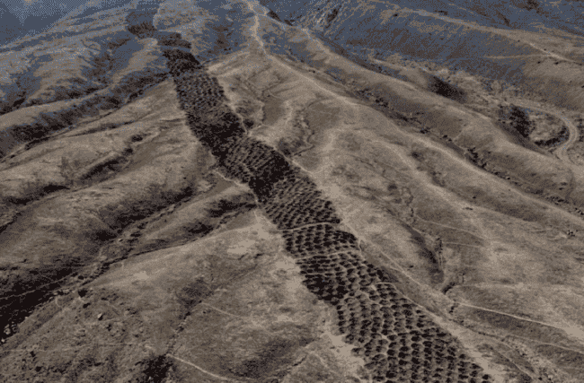 Загадка инков. Для чего нужна полоса из 5200 ям в перуанских горах. Фото.