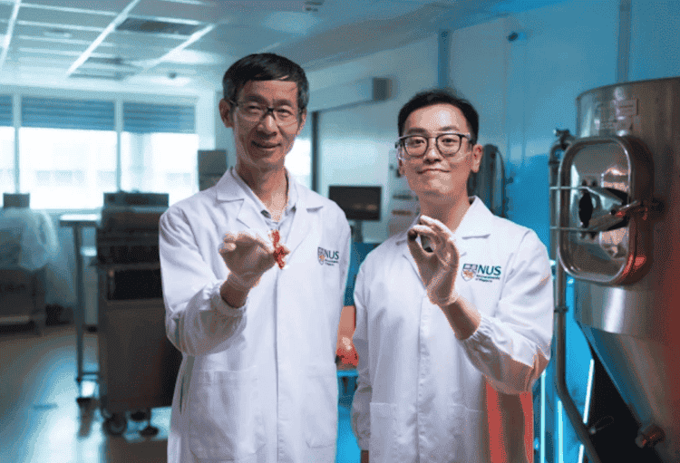 Можно ли заменить какао. Эти ребята сделали то, что может поменять индустрию. Изображение: newatlas. Можно ли заменить какао. Эти ребята сделали то, что может поменять индустрию. Изображение: newatlas. Фото.