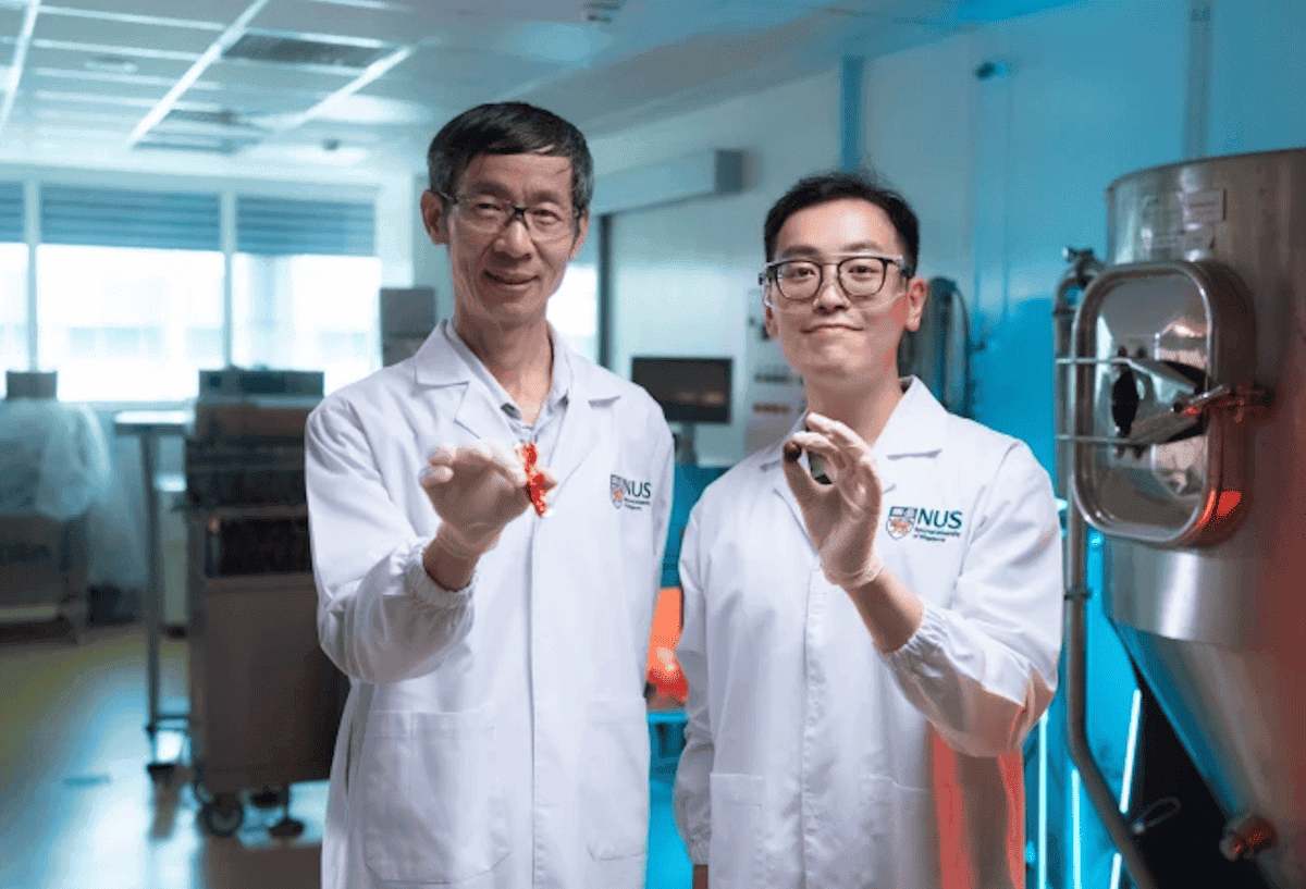 Можно ли заменить какао. Эти ребята сделали то, что может поменять индустрию. Изображение: newatlas. Фото.