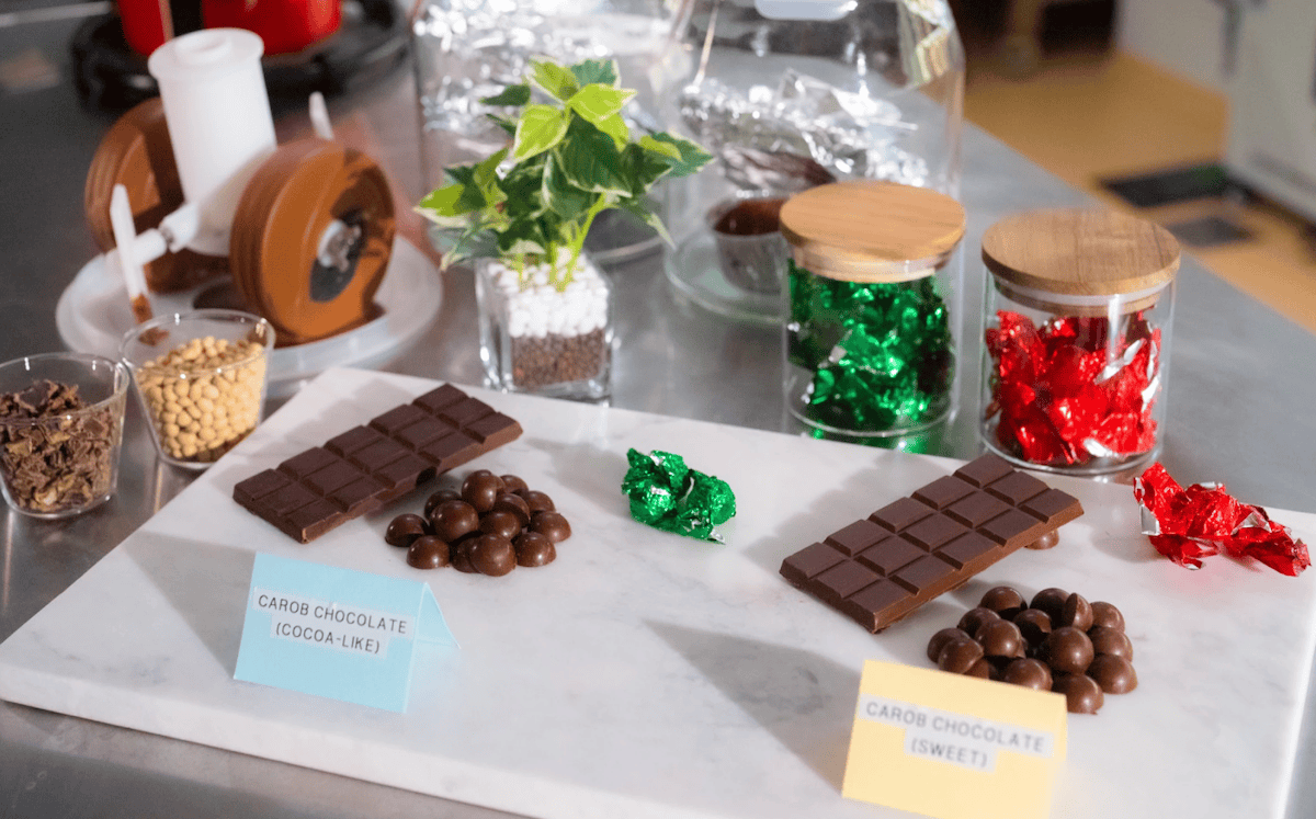 Как сделать шоколад без какао. Новый шоколад может заменить обычный. Изображение: newatlas. Фото.