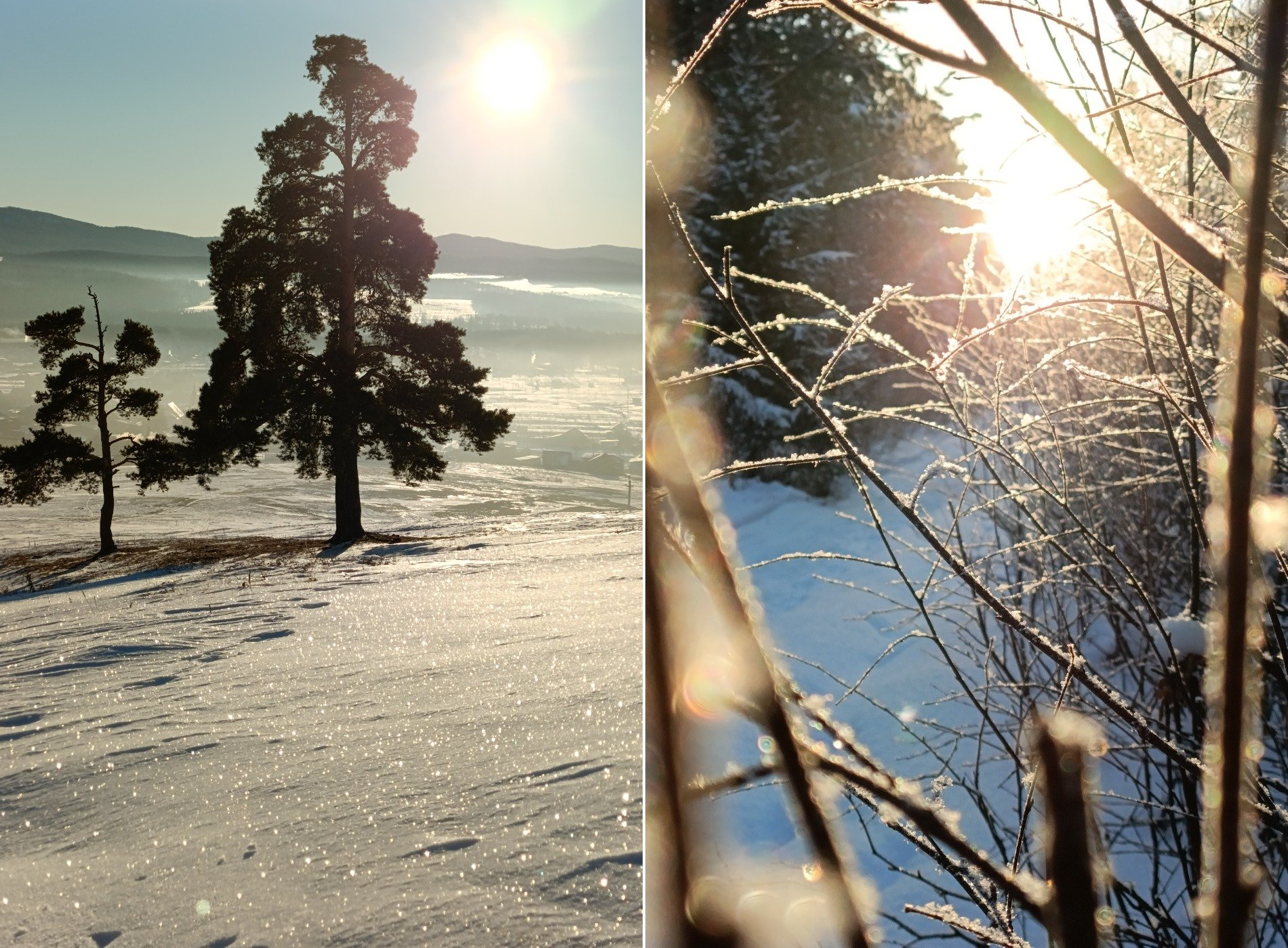 Подъём на гору Крака 24.11.2024; сказочный лес по пути на гору Малый Аваляк 06.01.2025. Автор © Макарова Вера (фото тырить можно, но не забудьте указать автора). Фото.