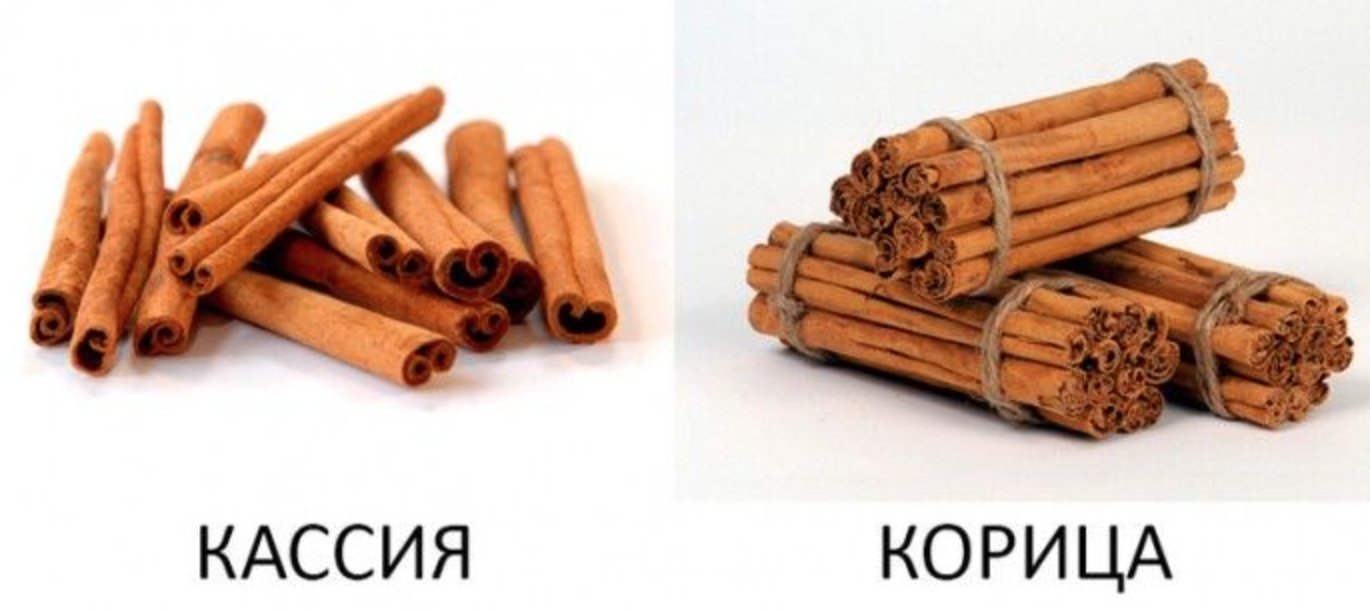 Разница между кассией и корицей. Источник изображения: pinterest.com. Фото.