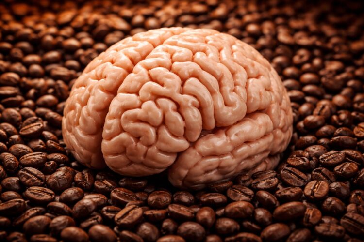 Сонливость и усталость. Когда в организме есть кофеин, мозг не понимает, когда ему нужно отдыхать. Сонливость и усталость. Когда в организме есть кофеин, мозг не понимает, когда ему нужно отдыхать. Фото.