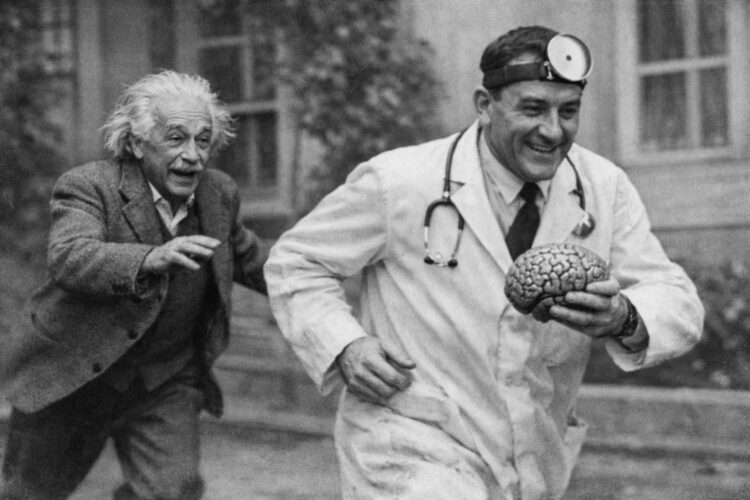 Кто и зачем украл мозг Альберта Эйнштейна. Из-за кражи мозга Эйнштейна, патологоанатом Томас Харви потерял работу и семью. Фото.