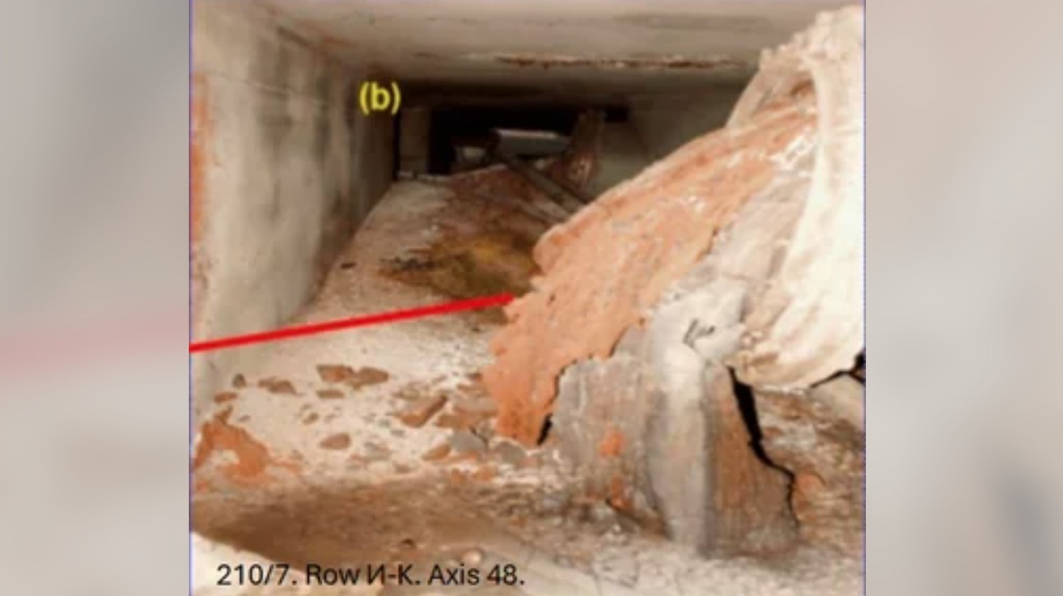 Из чего состоит слоновья нога в Чернобыле. «Слоновья нога» получила свое название из-за морщинистого внешнего вида, который напоминает подошву ноги большого животного. Источник фотографии: reddit.com. Фото.