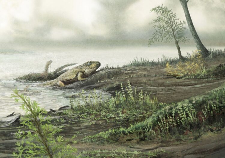 От кого произошли позвоночные. Жизнь вышла на сушу примерно 360 миллионов лет назад. Источник изображения: Live Science. Фото.