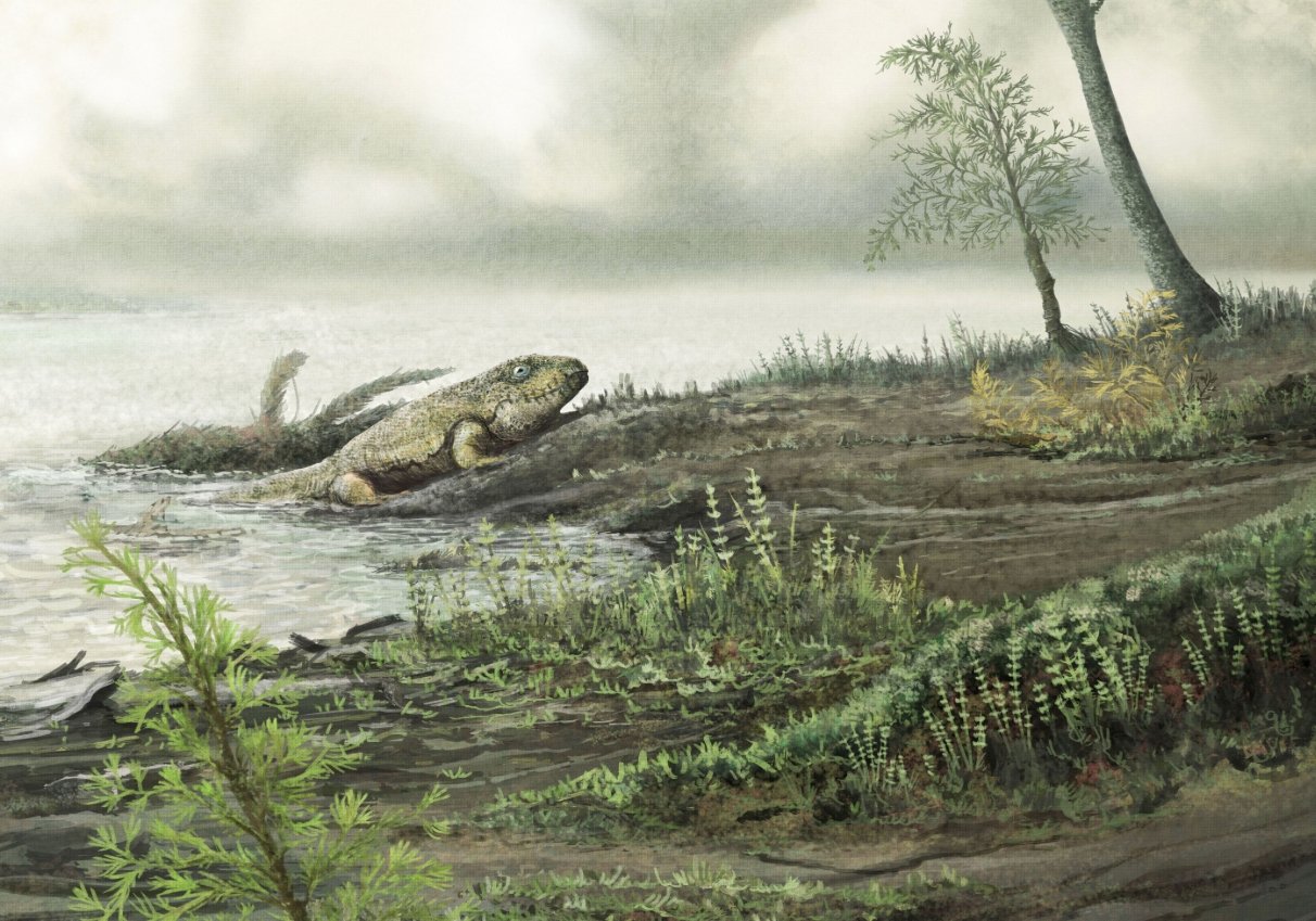 Жизнь вышла на сушу примерно 360 миллионов лет назад. Источник изображения: Live Science. Фото.