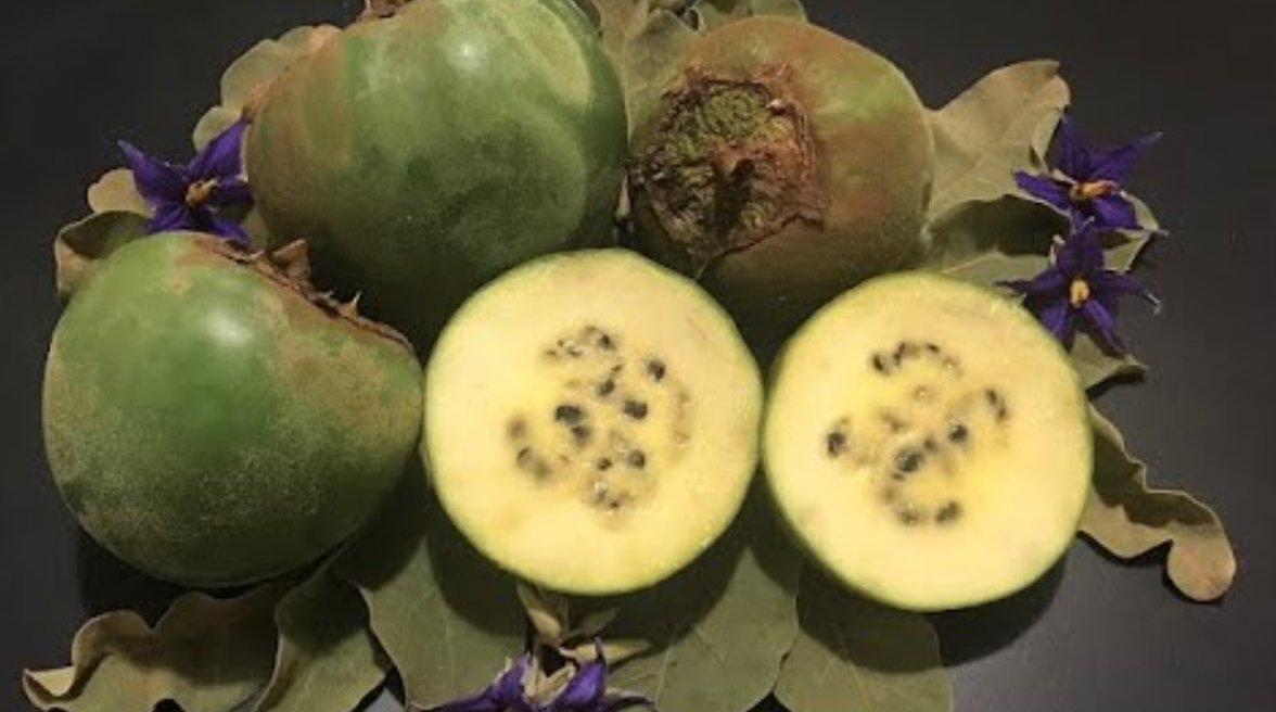 Плоды лойберы. Источник изображения: Live Science. Фото.