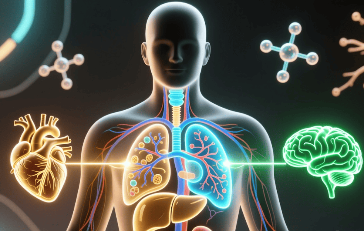 Как действует механизм восстановления ДНК. Восстановление органов постепенно становится более простым и понятным. Фото.