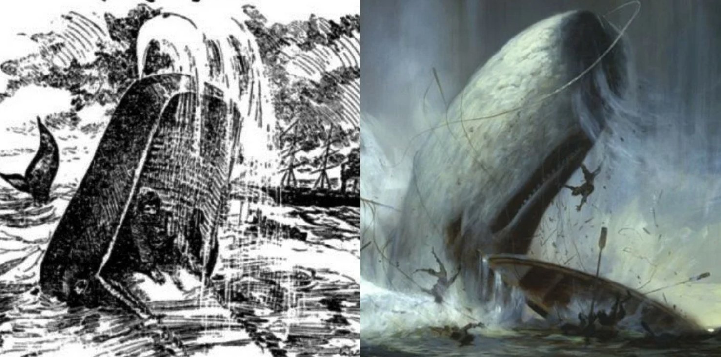 Истории когда киты проглотили человека. Согласно легенде, моряк Джеймс Бартли провел внутри кашалота полтора дня. Источник изображения: fishki.net. Фото.