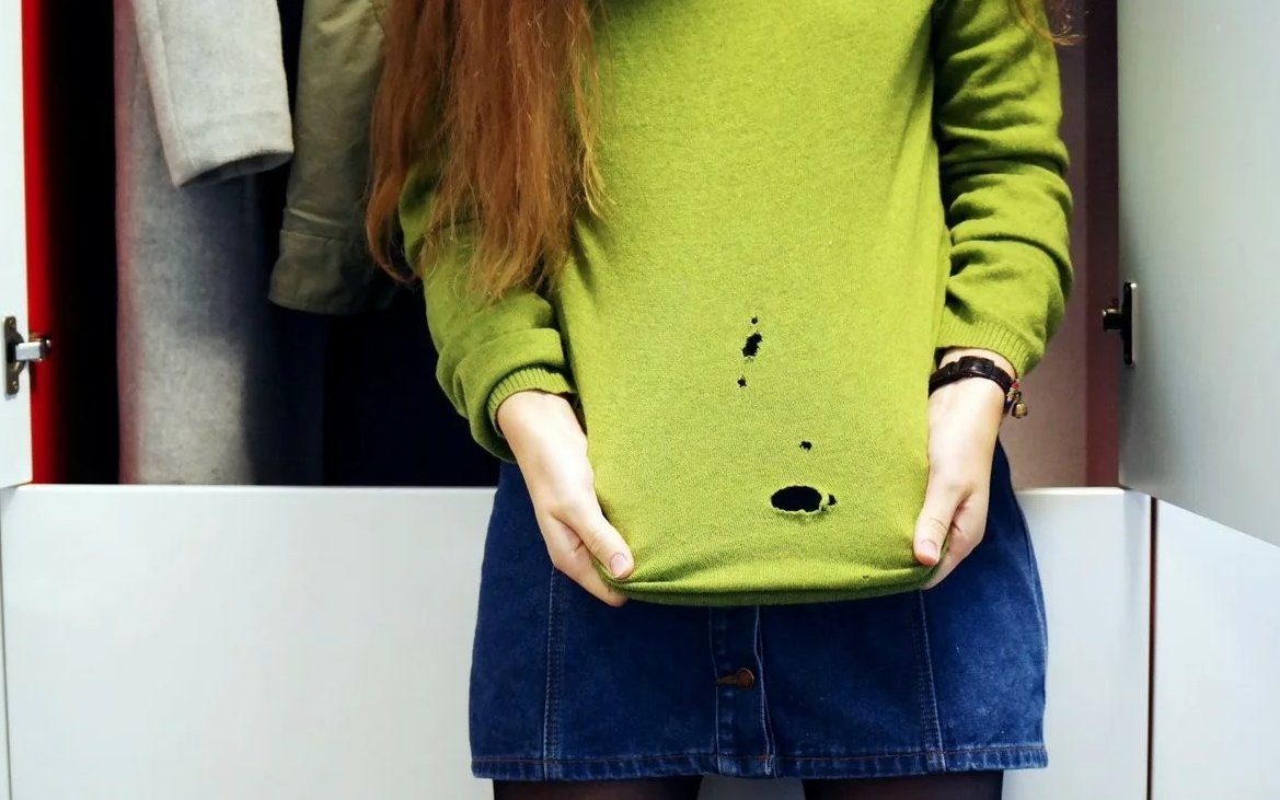 Испорченная молью одежда. Источник изображения: fishki.net. Фото.