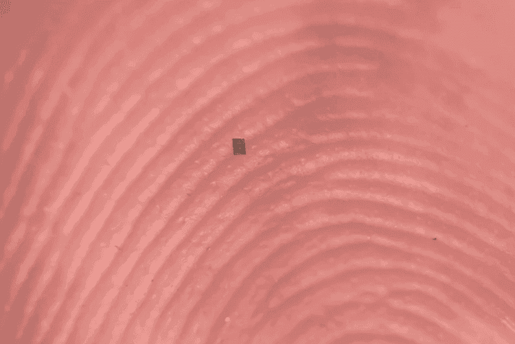 Как работает самый маленький робот в мире. Так робот выглядит на человеческом пальце. Изображение: newatlas. Как работает самый маленький робот в мире. Так робот выглядит на человеческом пальце. Изображение: newatlas. Фото.