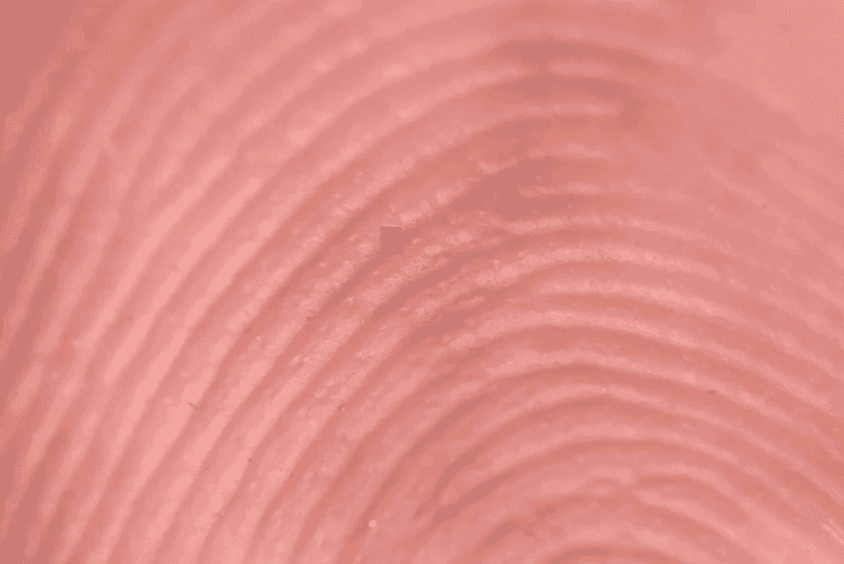 Так робот выглядит на человеческом пальце. Изображение: newatlas. Фото.