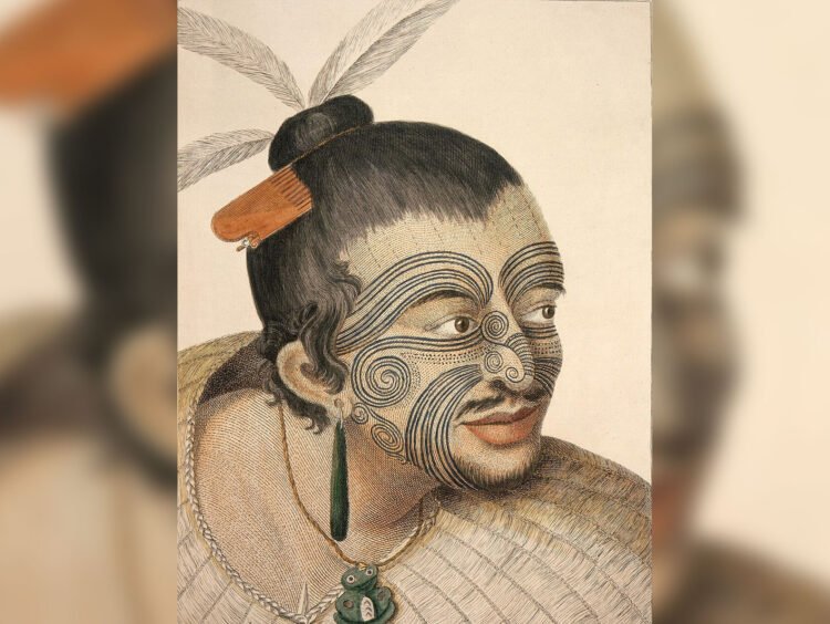 Как была открыта Новая Зеландия. Один из вождей маори, изображение 1784 года. Источник: wikipedia.org. Фото.