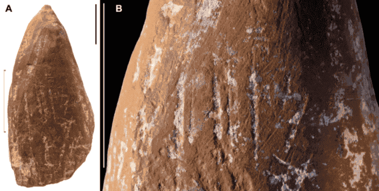 Символическая культура неандертальцев. Такой карандаш был сделан специально. Изображение: Science Advances. Символическая культура неандертальцев. Такой карандаш был сделан специально. Изображение: Science Advances. Фото.