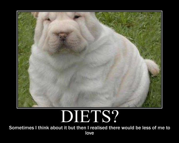 Почему собаки набирают лишний вес: главные причины. Ветеринары предупредили: ожирение реально ворует годы жизни у собак. Источник изображения: deviantart.com. Фото.