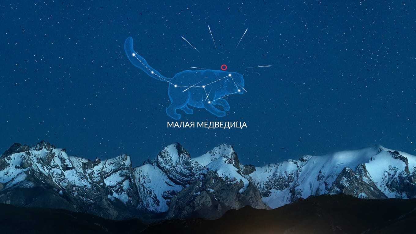 Когда и как наблюдать Урсиды в 2025 году. Радиант Урсид в созвездии Малой Медведицы, но особенность этого потока в том, что метеоры могут появляться в любой части неба. Источник изображения: starwalk.space. Фото.