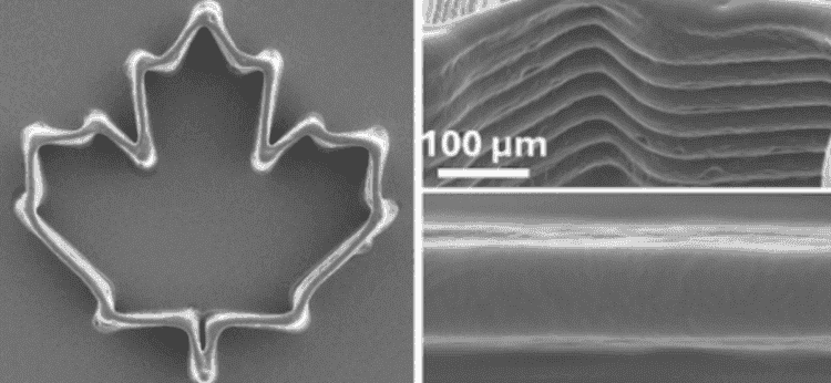 Лучшей средство для 3D-печати. Печать через комариные хоботки уже превосходит по качеству обычную и позволяет делать миниатюрные вещи. Изображение: mcgill.ca. Лучшей средство для 3D-печати. Печать через комариные хоботки уже превосходит по качеству обычную и позволяет делать миниатюрные вещи. Изображение: mcgill.ca. Фото.
