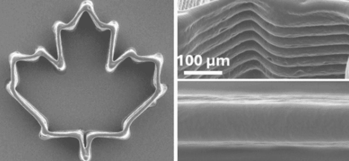 Печать через комариные хоботки уже превосходит по качеству обычную и позволяет делать миниатюрные вещи. Изображение: mcgill.ca. Фото.