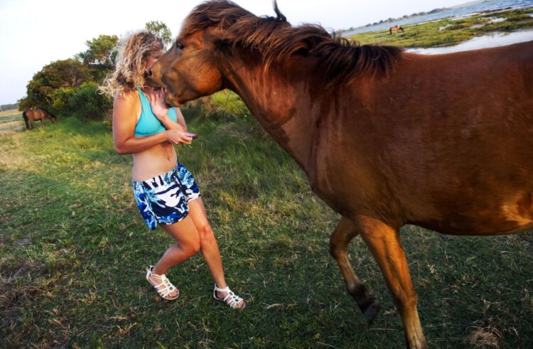 Лошади чувствуют страх человека. Большинство нападений лошадей на человека связано не с агрессией, а с резким испугом животного. Источник изображения: kuhmistrtlt.ru. Фото.