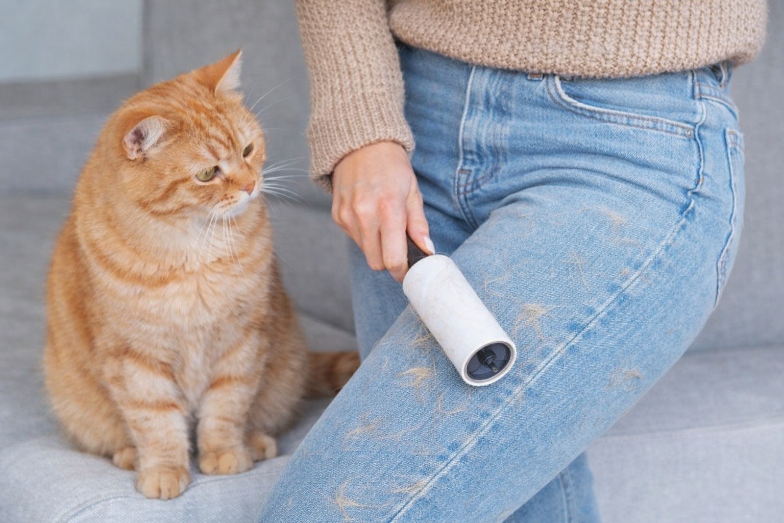 Особенно часто нужно убираться в периоды линьки домашних животных. Фото.