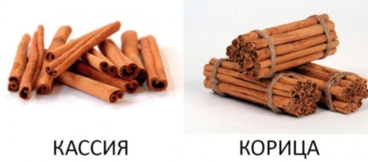 Как подделывают корицу. Кассия и настоящая корица. Источник изображения: pinterest.com. Фото.