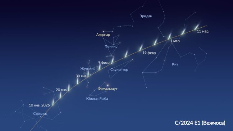C/2024 E1 (Вежчоса): когда и где наблюдать комету. Путь кометы C/2024 E1 (Вежчоса). Источник изображения: starwalk.space. Фото.