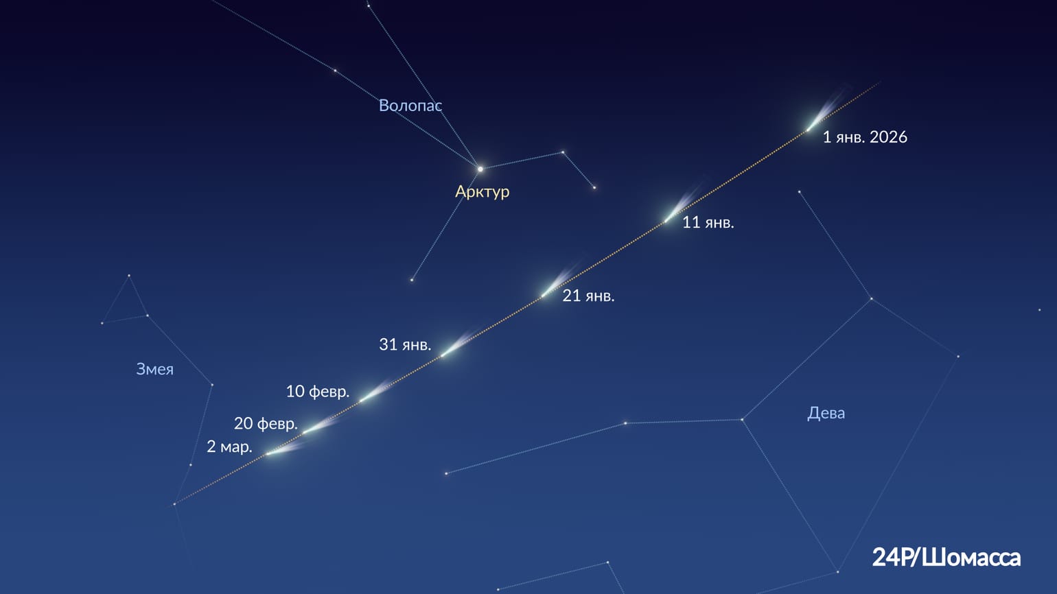 24P/Шомасса: видимость кометы в 2026 году. Путь кометы 24P/Шомасса. Источник изображения: starwalk.space. Фото.