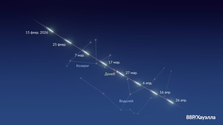 88P/Хауэлла: условия наблюдения кометы. Путь кометы 88P/Хауэлла. Источник изображения: starwalk.space. Фото.