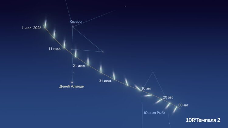 10P/Темпеля 2: летняя комета для наблюдений в бинокль. Путь кометы 10P/Темпеля 2. Источник изображения: starwalk.space. Фото.