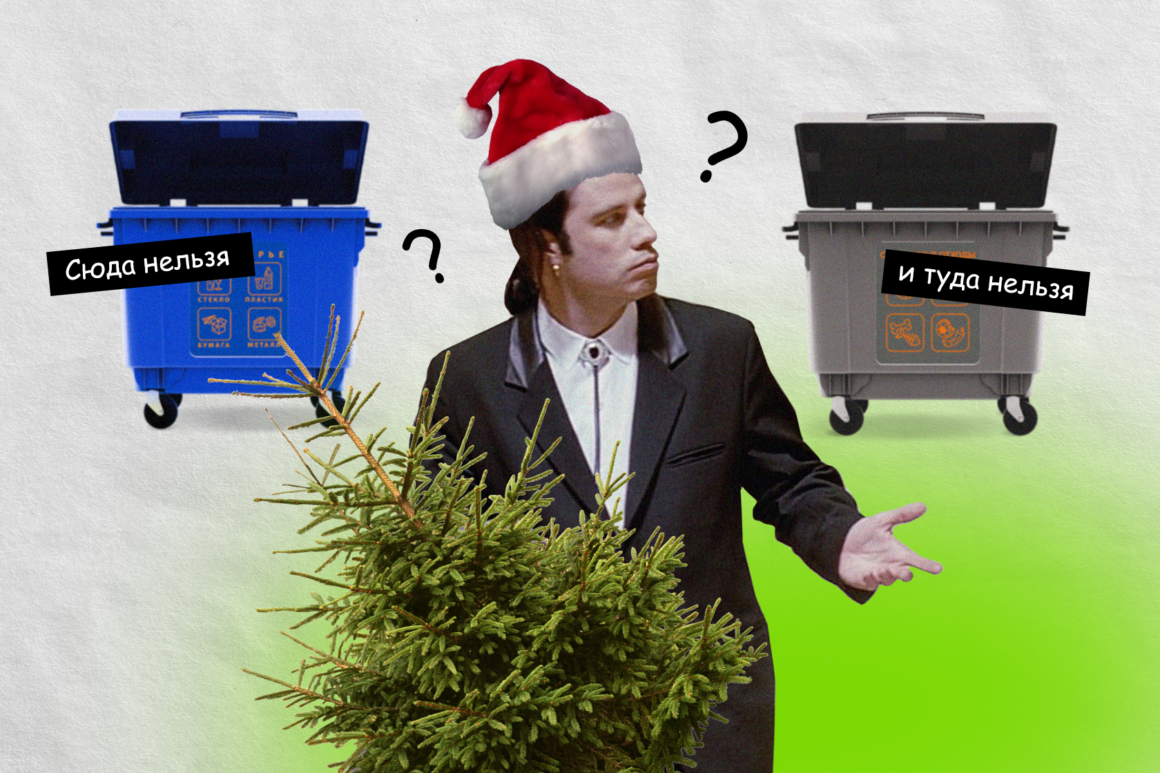 Куда деть ёлку после Нового года и как сделать это правильно