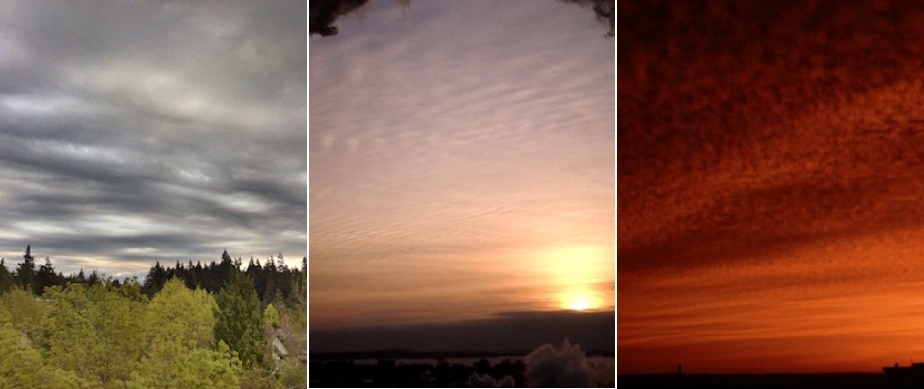 Слоисто-кучевые, перисто-слоистые и перисто-кучевые облака. Источники изображений: eoas.ubc.ca. Фото.