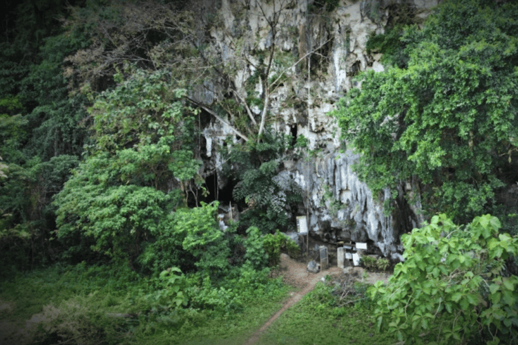 Появление современных людей. Не каждая пещера хранит именно такие тайны, но в других есть что-то свое. Изображение: Newatlas. Фото.