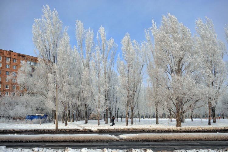 Почему иней появляется на одних поверхностях и не появляется на других. Микрорельеф и покрытия заметно меняют скорость обмерзания, но эффект зависит от материала и условий. Источник изображения: commons.wikimedia.org. Фото.