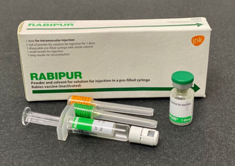 Когда нужно делать прививку от бешенства. Вакцина от бешенства. Источник изображения: wikipedia.org. Фото.