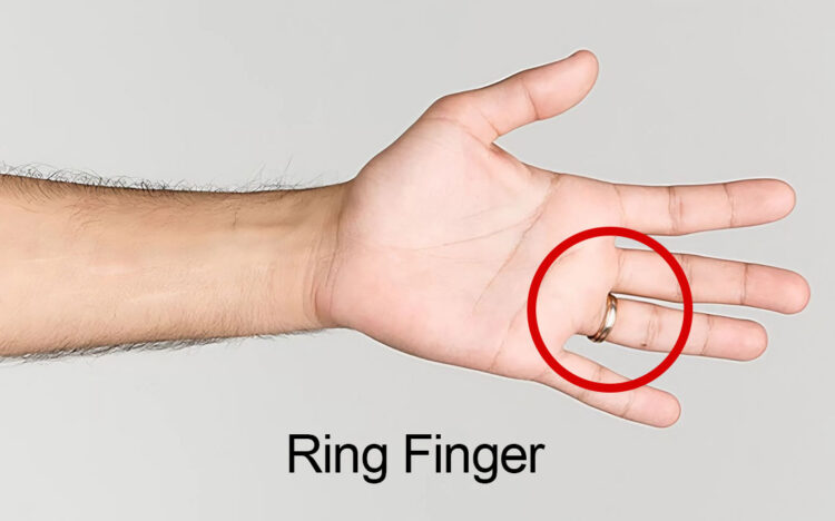 Выработанная привычка. Безымянный палец на английском называется кольцевым или перстневым. Фото.