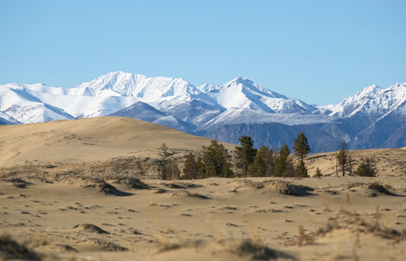 Чарские пески. Источник изображения: Яндекс Карты. Фото.